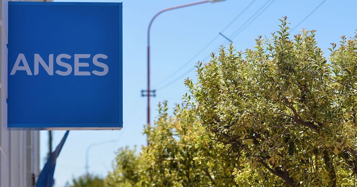 Calendario de pagos de ANSES para DNI terminado en 2: fechas, montos y bono en octubre