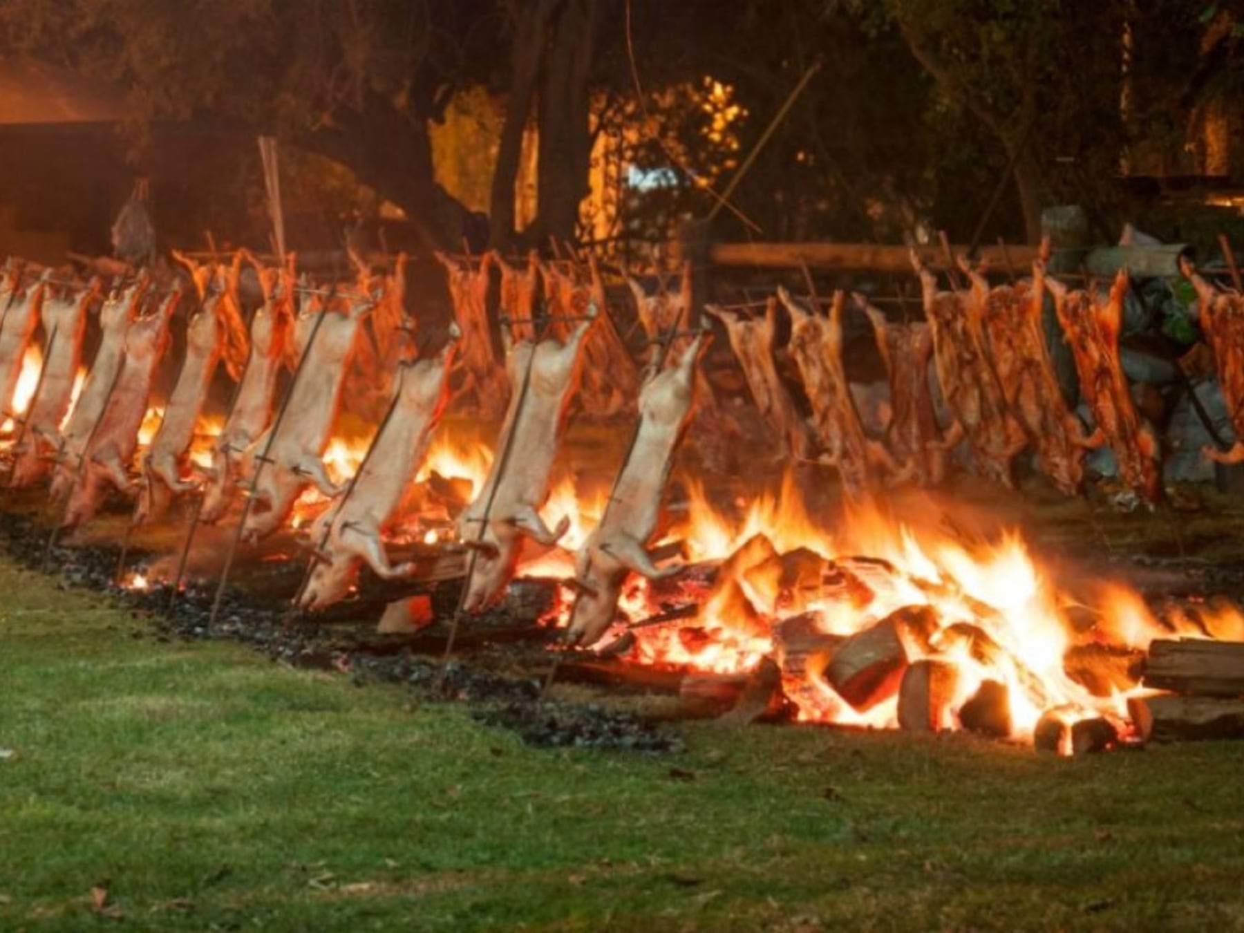 Cuatro días, decenas de propuestas: la agenda de fiestas que recorre la provincia de Buenos Aires