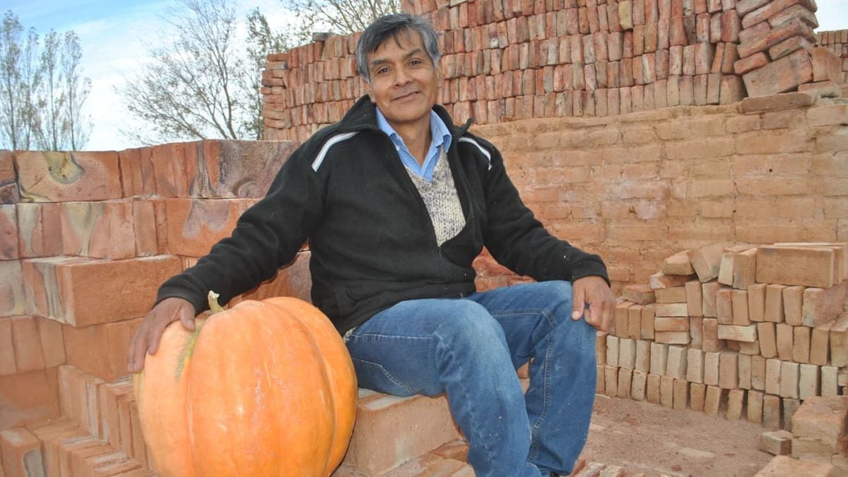 El zapallo gigante que cambió la rutina de un ladrillero en Mariano Moreno