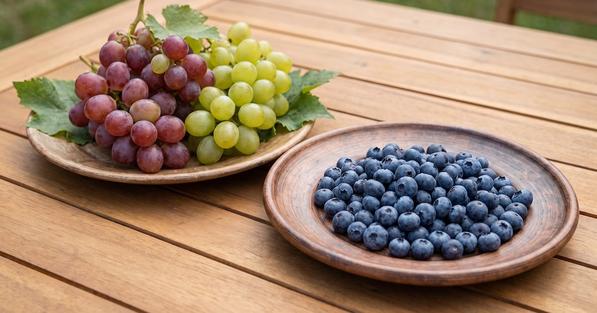 Arándanos o uvas: la pulseada por el azúcar en sangre y por qué la fibra es la verdadera protagonista