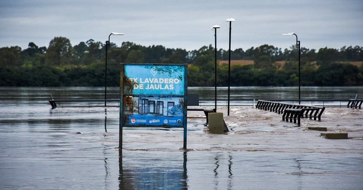 Con el río en crecida, la carne vacuna encara diciembre con subas de hasta 10% y la energía se abarata