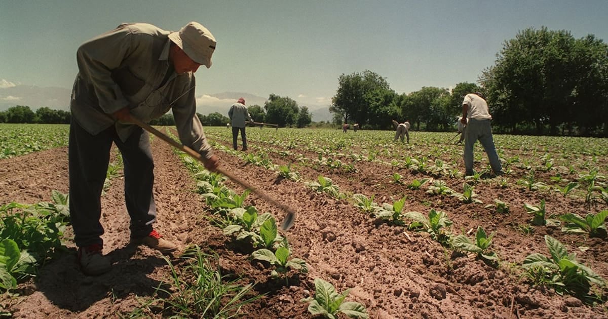 El campo ramplio extiende por un año más el piso de asignaciones del personal temporario y estacional del agro