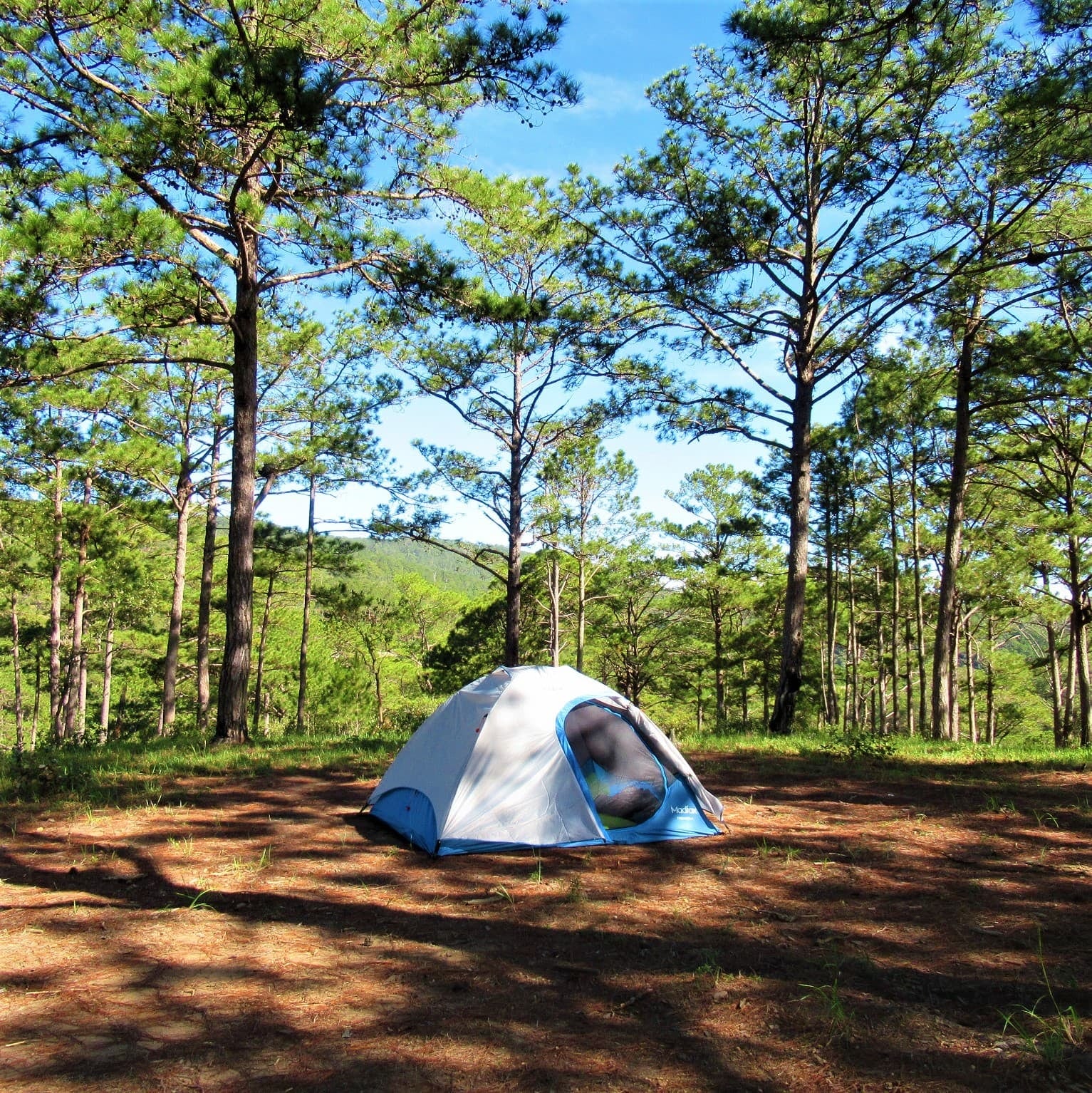 Un camping de bosque y mar chega a Mar Azul con 240 parcelas