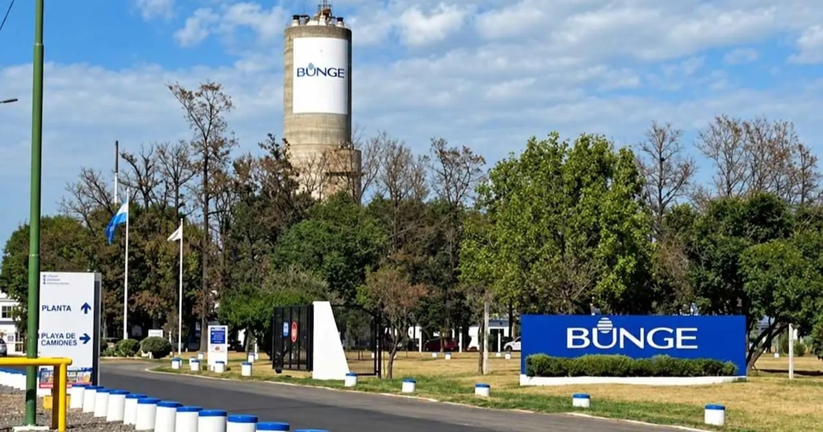 Campana: una empresa interrumpe su producción química y despide a 110 trabajadores